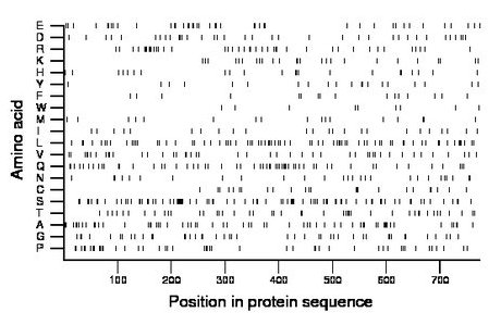 amino acid map
