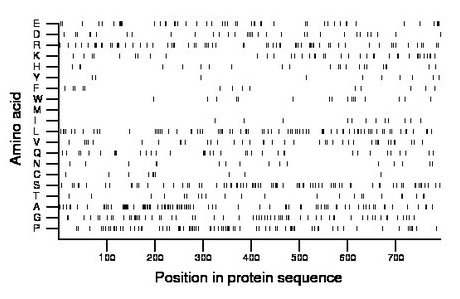 amino acid map