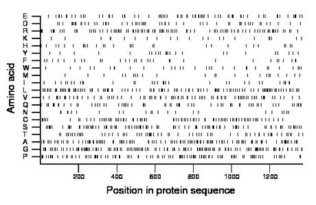 amino acid map