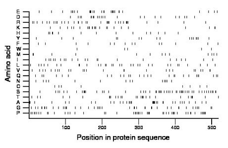 amino acid map