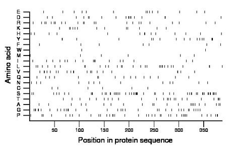 amino acid map