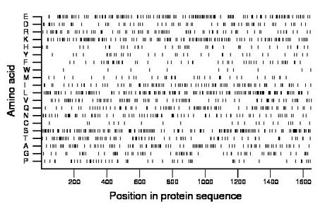 amino acid map