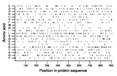 amino acid map