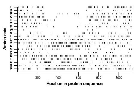amino acid map
