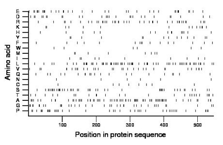 amino acid map