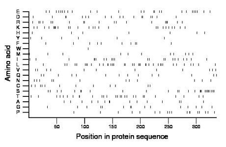 amino acid map