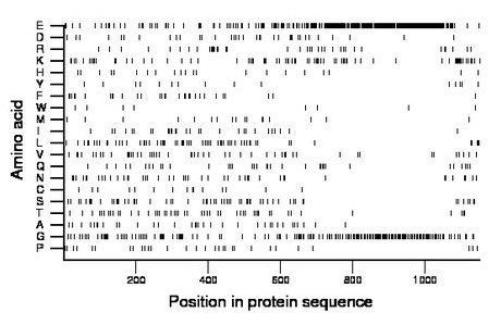 amino acid map