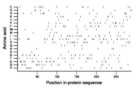 amino acid map