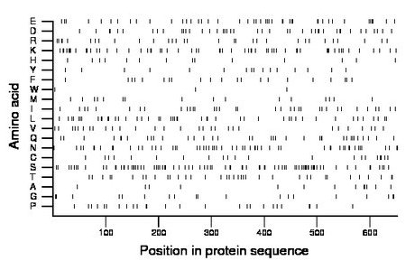 amino acid map