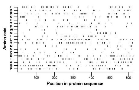 amino acid map