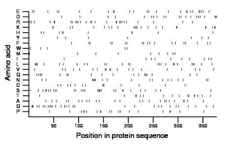 amino acid map