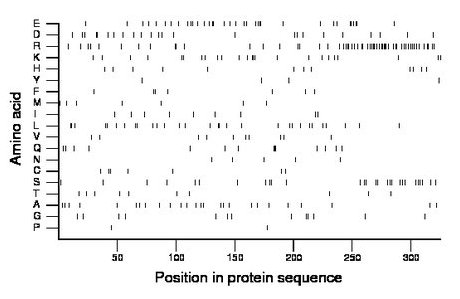 amino acid map