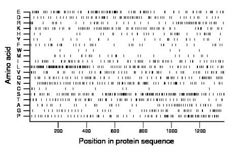 amino acid map