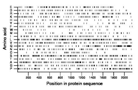 amino acid map