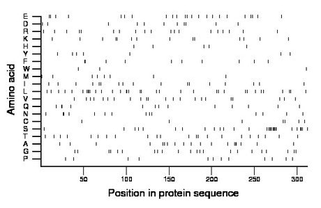 amino acid map