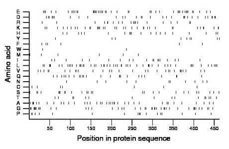 amino acid map