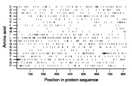 amino acid map