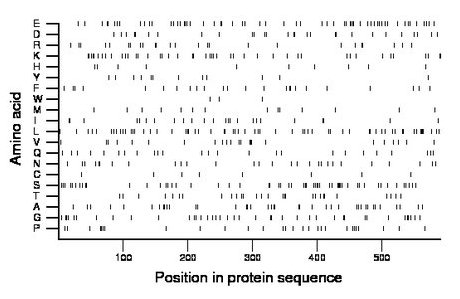 amino acid map