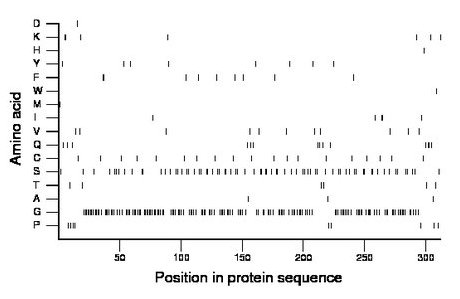 amino acid map