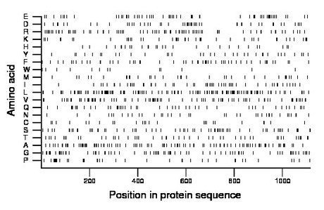 amino acid map