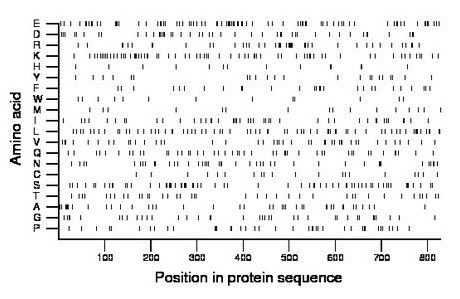 amino acid map