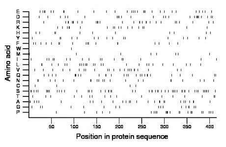 amino acid map