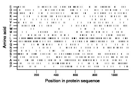 amino acid map
