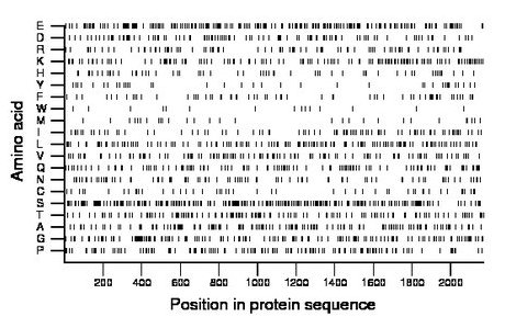 amino acid map