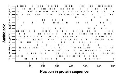 amino acid map