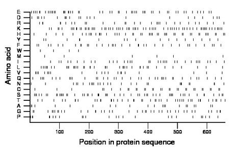 amino acid map