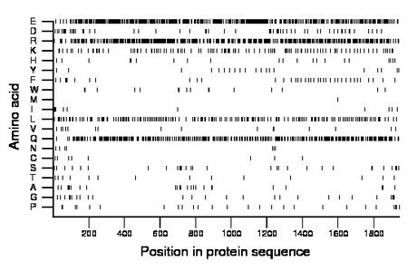 amino acid map