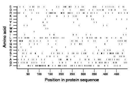 amino acid map