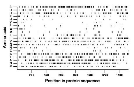 amino acid map