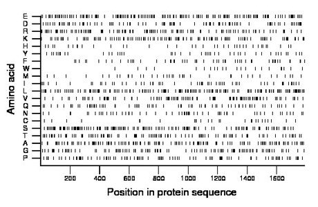 amino acid map