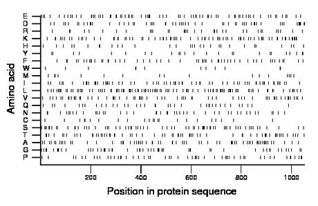 amino acid map