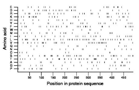 amino acid map