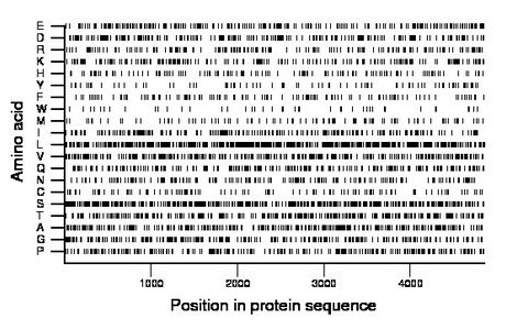 amino acid map