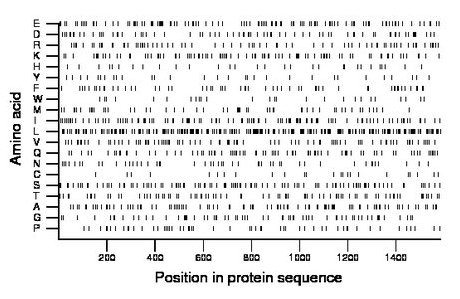 amino acid map