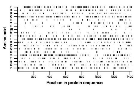 amino acid map