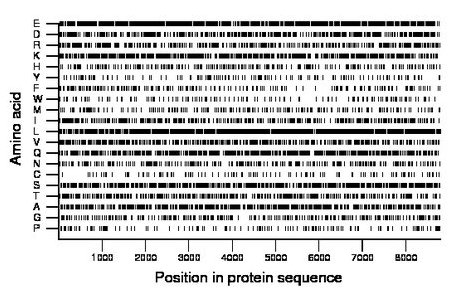 amino acid map