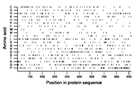 amino acid map