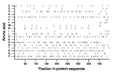 amino acid map