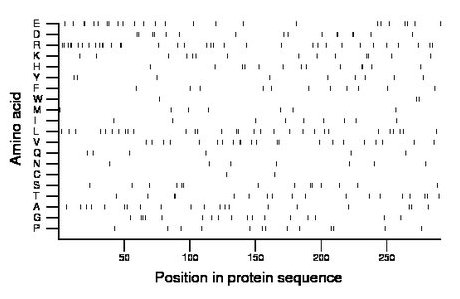 amino acid map