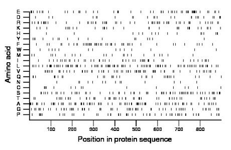 amino acid map