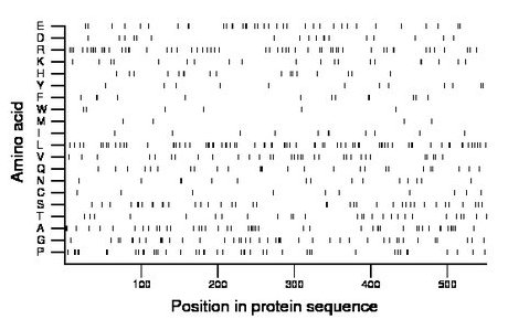 amino acid map