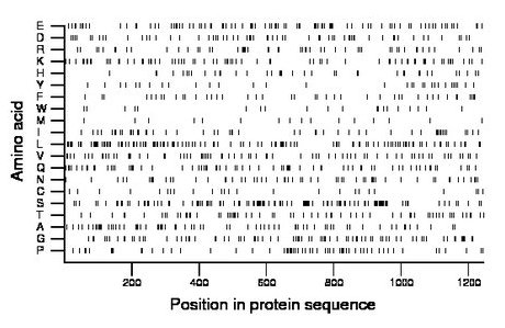 amino acid map