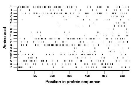 amino acid map