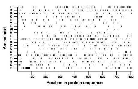 amino acid map