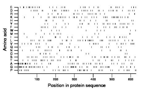 amino acid map