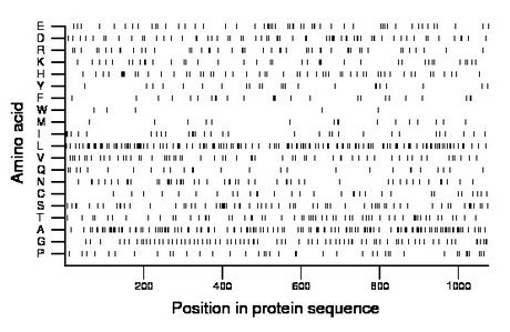 amino acid map